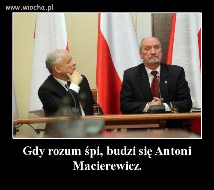 Lubię drzeć łacha z maciora ...