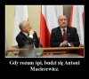 Lubię drzeć łacha z maciora ...