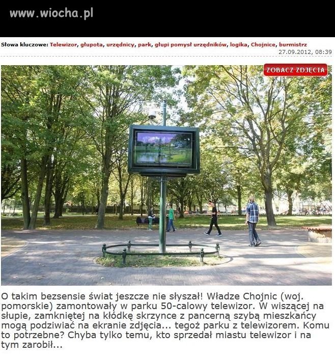 Telewizor w parku