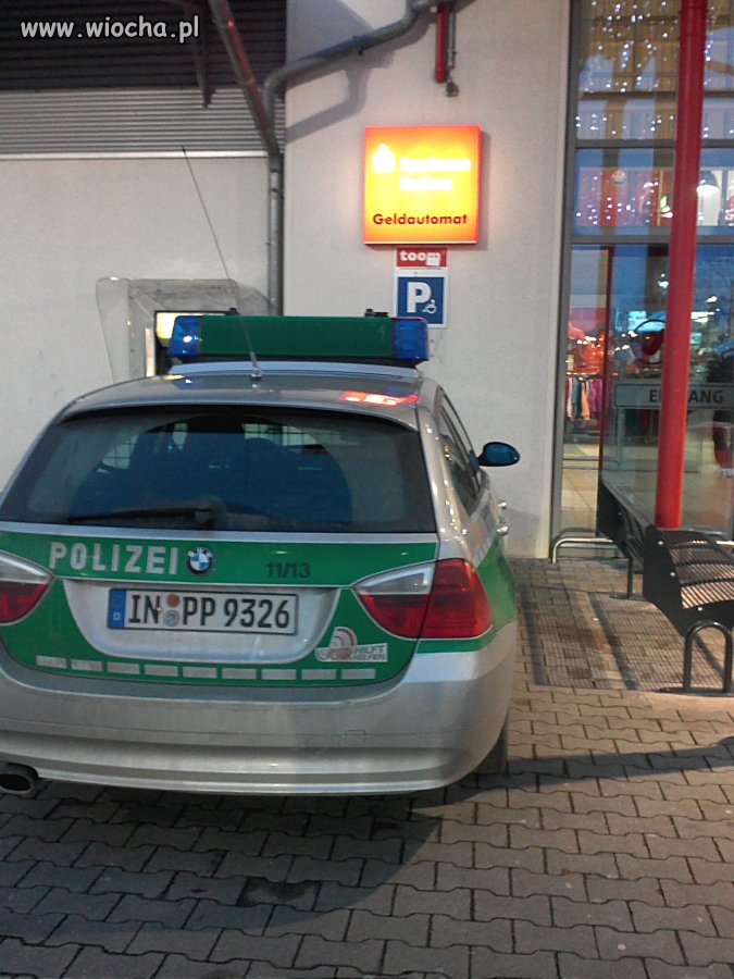 Takie świnie 