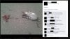 Zdjęcie rozjechanego gołębia na facebooku