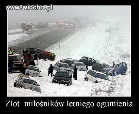 Zlot miłośników