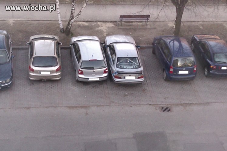 Mistrz Parkowania