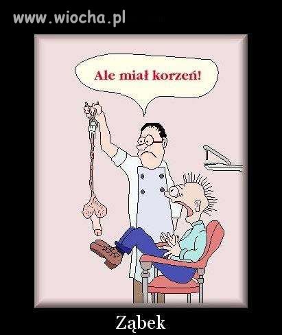Korzonek