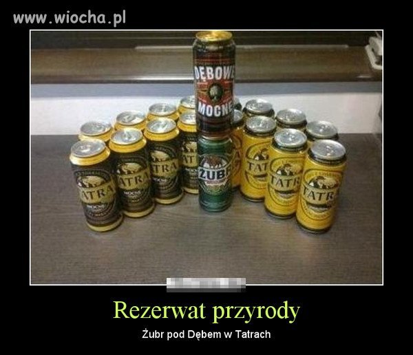 Naturalny rezerwat przyrody