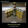 Naturalny rezerwat przyrody