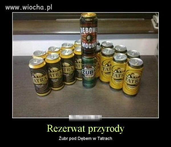 Naturalny rezerwat przyrody