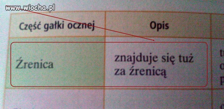 Książka od przyrody w podstawówce