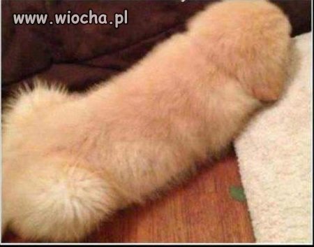 A ty co widzisz 