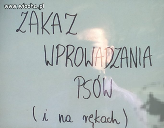 Zakaz