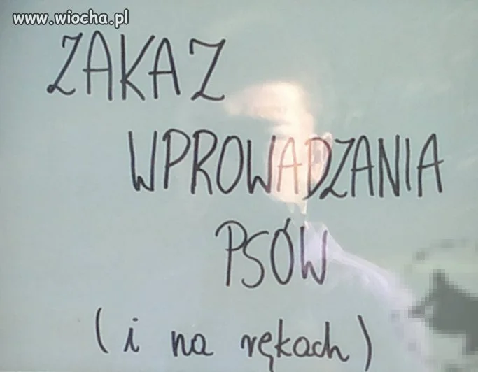 Zakaz