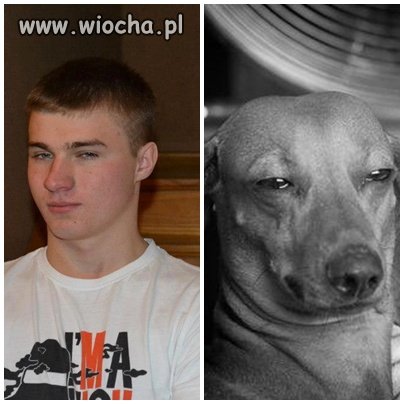 Dobra mina do złej gry