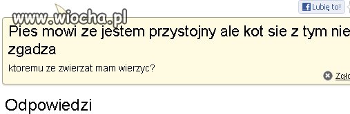 No i komu on ma wierzyć? 