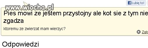 No i komu on ma wierzyć? 