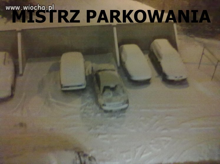 Mistrz parkowania...