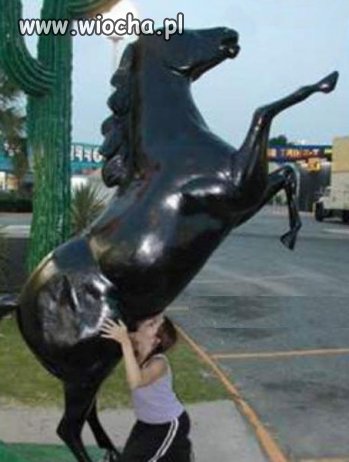Konik