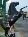 Konik