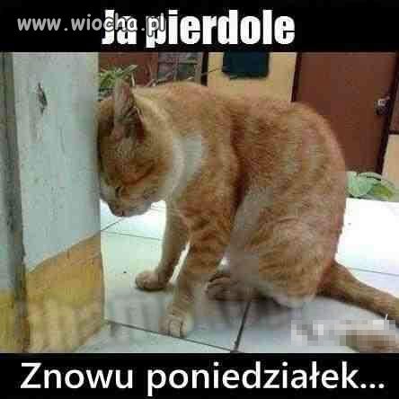 Ja pierdole