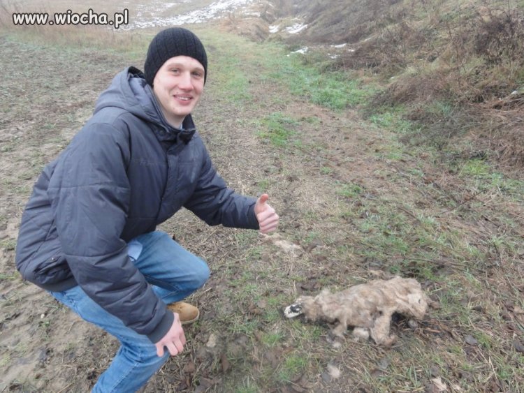 Takie tam... ze zwierzątkiem. 