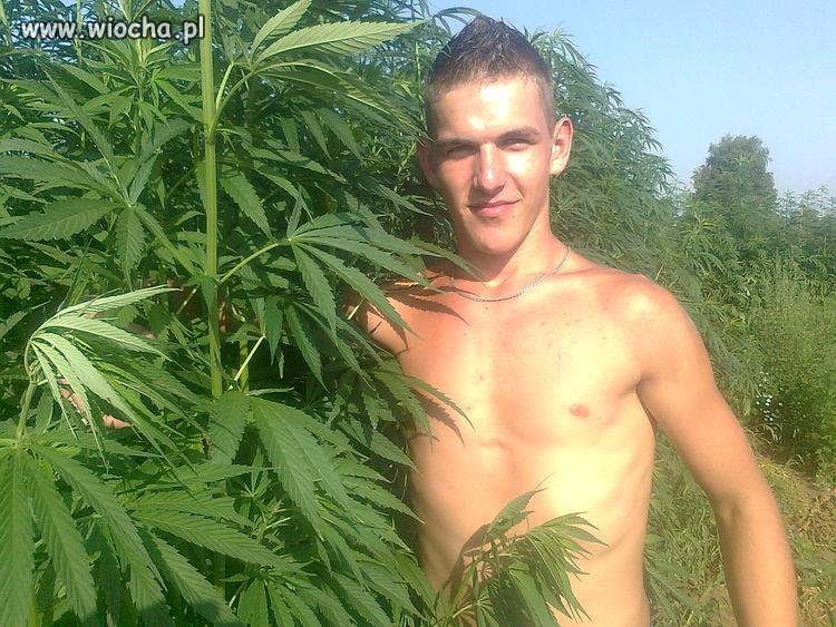Tarzan