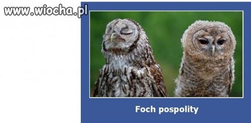 Ta z lewej przypomina mi