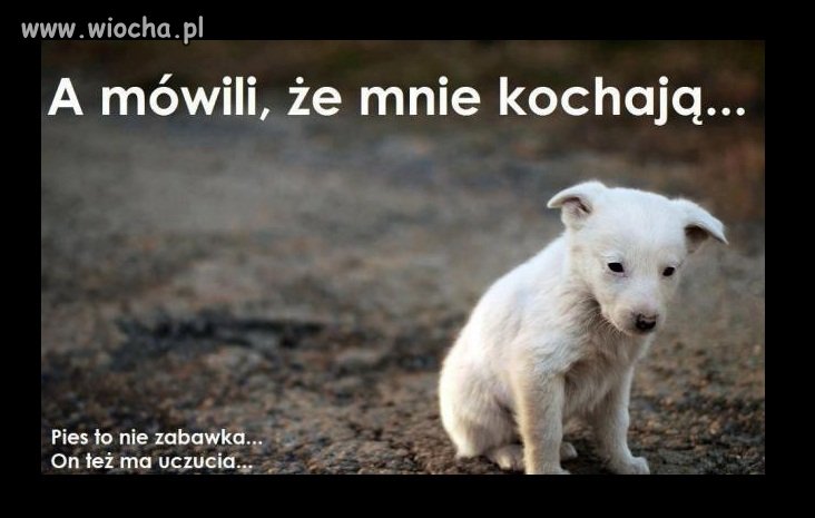 Święta, święta i po świętach... I jak co roku to samo