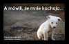 Święta, święta i po świętach... I jak co roku to samo