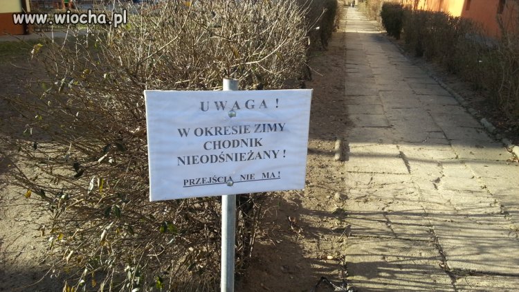 I po co się męczyć