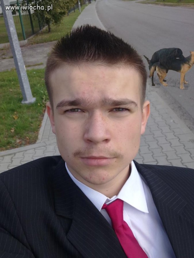 Oj ten dziewiczy wąs ..