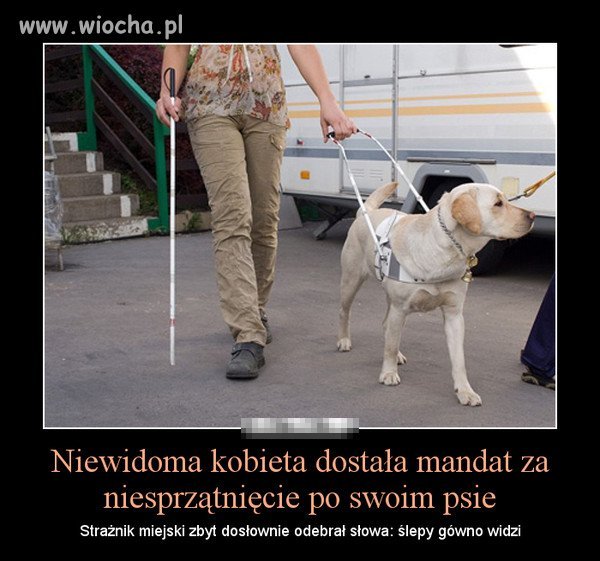 I znowu popis straży miejskiej 