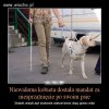 I znowu popis straży miejskiej 