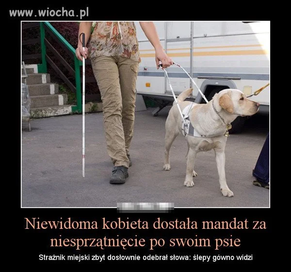 I znowu popis straży miejskiej 