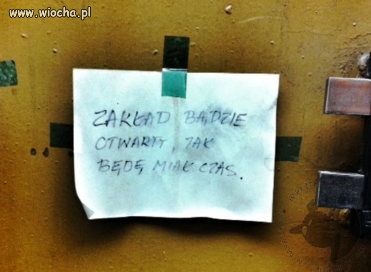 Szef pracuje
