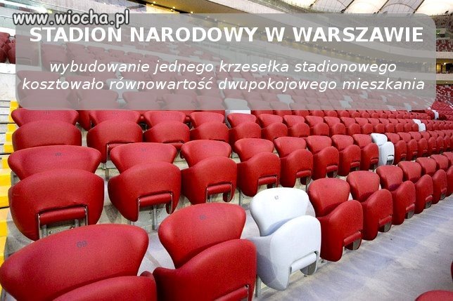 Nasza "zielona wyspa"