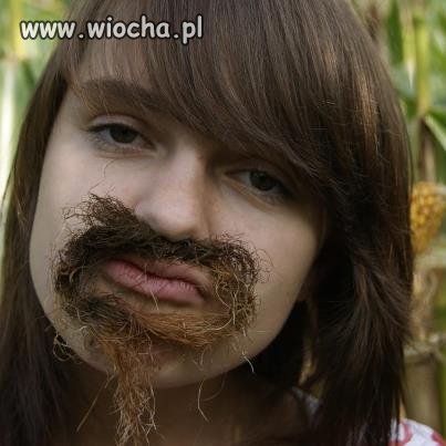 Dziewiczy wąsik 