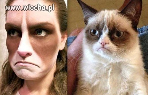 CatWoman vs.