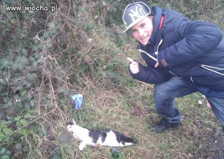 Jak można..