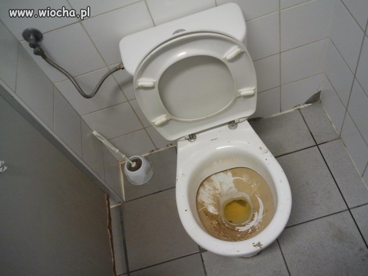 Kibel w auchan gdańsk