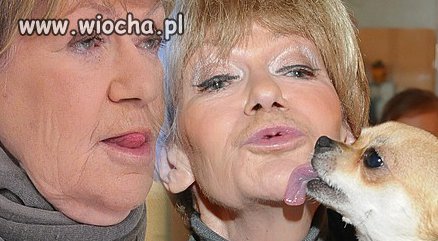 Dokonałam dwóch aborcji i brzydzę się dziećmi