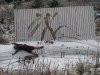 Znowu w życiu