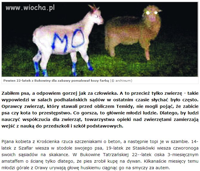 Okrucieństwo