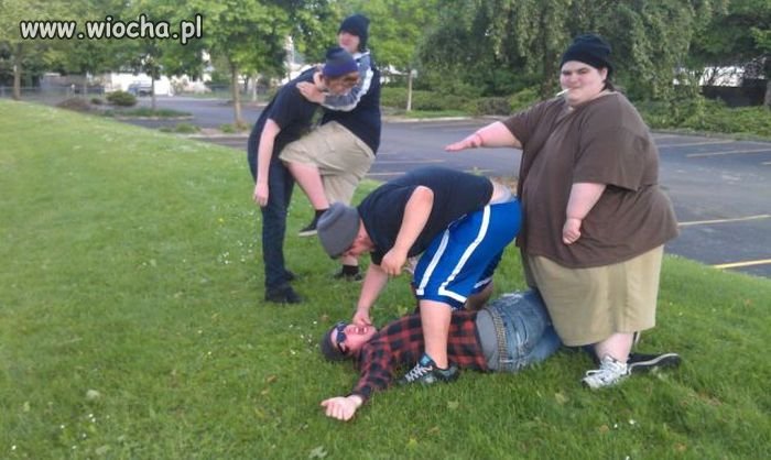 WWE contra Sumo