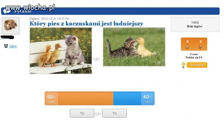 Który pies z kaczuskami jest ładniejszy? 