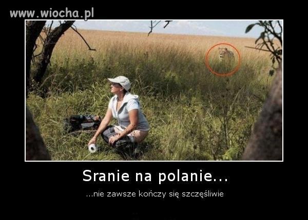 Takie tam na polanie.