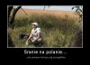 Takie tam na polanie.