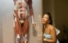 Tymczasem w muzeum anatomii 