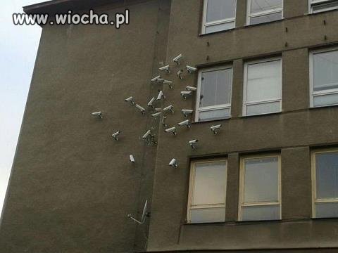 Przesadyzm czy bezpieczeństwo