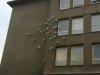 Przesadyzm czy bezpieczeństwo