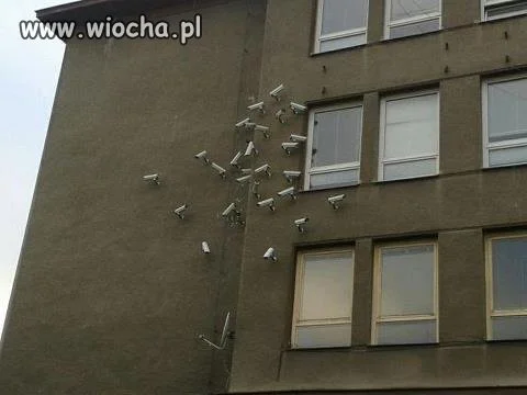 Przesadyzm czy bezpieczeństwo