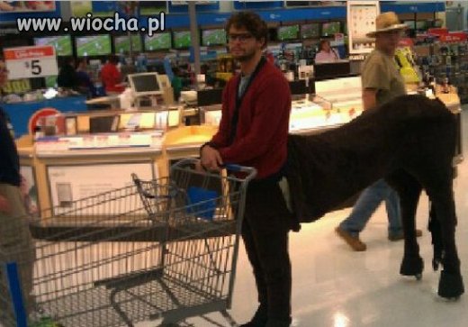 Centaur